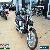 2007 Honda Shadow for Sale