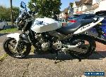 Honda Hornet 600 F3 for Sale