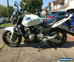 Honda Hornet 600 F3 for Sale