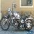 1981 Harley-Davidson Other for Sale