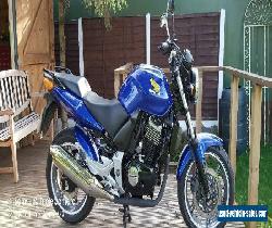 HONDA CBF500  for Sale