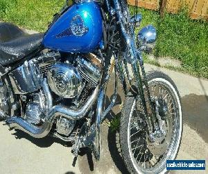 2002 Harley-Davidson Softail