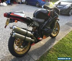 aprilia rsv 1000 mille r for Sale