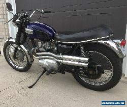 Triumph: Tiger for Sale