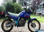 Honda NX650 Dominator for Sale