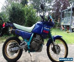 Honda NX650 Dominator for Sale