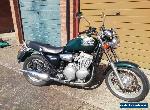 triumph thunderbird 900 for Sale