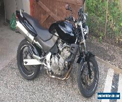 Honda Hornet 600cc 2003 for Sale