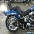 HARLEY DAVIDSON SOFTAIL FXSTC 10/2007 MODEL 21160KMS PROJECT MAKE AN OFFER for Sale