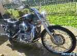 harley davidson XL883 sportster for Sale