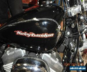 harley davidson XL883 sportster