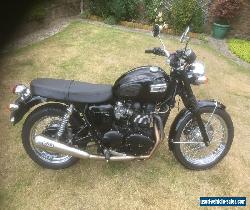 Triumph Bonneville T100 -  2011 for Sale