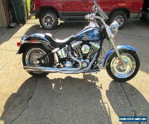 2009 Harley-Davidson Softail