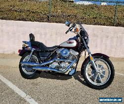 1984 Harley-Davidson FXR for Sale