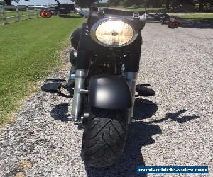 2010 Harley-Davidson Softail