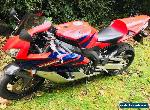 HONDA FIREBLADE 1000 RR5 2006 (56) YOSHIMURA, CARBON, MOT FSH ONLY 14000 miles for Sale