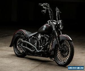 2010 Harley-Davidson Softail