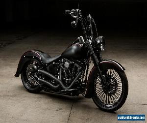 2010 Harley-Davidson Softail