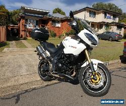 TRIUMPH TIGER 1050 SE ABS RE-LISTED for Sale