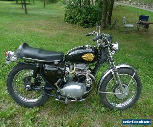 1967 BSA HORNET