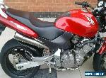 Honda CB600F Hornet 1998 for Sale