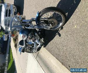 2006 Harley-Davidson Softail