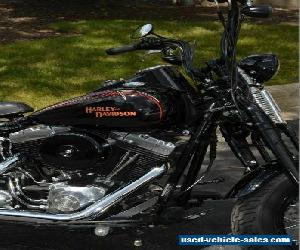 2008 Harley-Davidson Softail