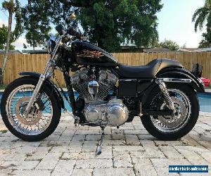 2001 Harley-Davidson Sportster