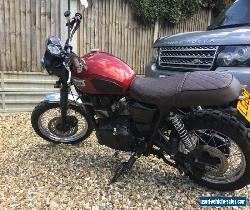 Triumph Bonneville  Srambler for Sale