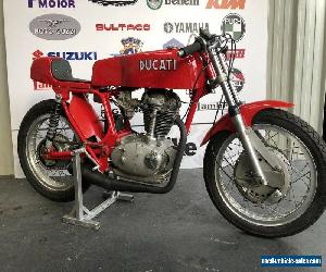 Ducati 450 Race Bike - 1972