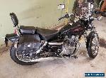 2006 Honda Rebel for Sale