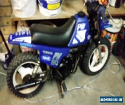 pw50 for Sale