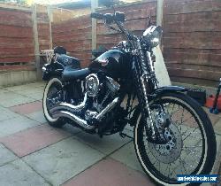 Harley Davidson fxstsb for Sale