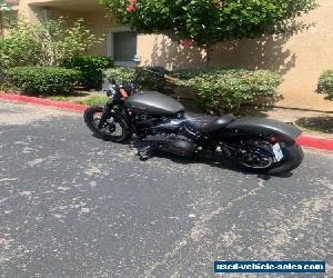 2019 Harley-Davidson Softail