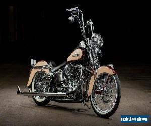 2001 Harley-Davidson Softail for Sale