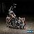 2001 Harley-Davidson Softail for Sale