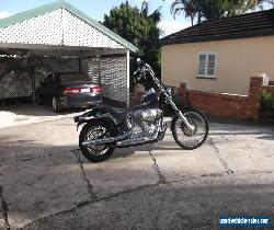 Harley Davidson Softail for Sale