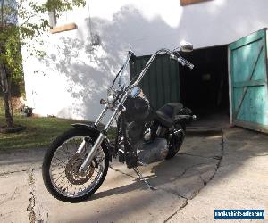 Harley Davidson Softail