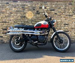 Triumph Scrambler for Sale