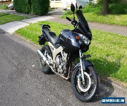 Yamaha TDM 900 for Sale