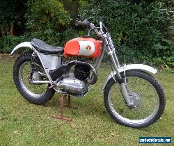 1964-67 250 Radial Head Bultaco Sherpa Trials Bike Very Rare Pre 65 Twinshock  for Sale