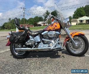 1999 Harley-Davidson Softail