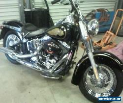 harley davidson for Sale