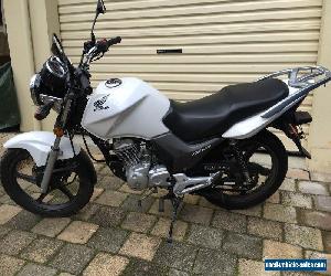 Honda CB125E LAMS Learner Approved Almost as new condition Bargain Cafe Racer 