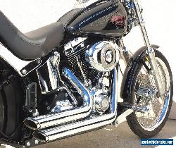 2008 Harley Davidson Softail Custom with 12,000kms and Gloss Black FXSTC for Sale