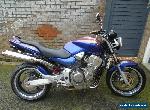 HONDA CB900F HORNET 900 2003 23K MOT HPI CLEAR GOOD CONDITION CUSTOM EXTRAS 919  for Sale