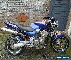 HONDA CB900F HORNET 900 2003 23K MOT HPI CLEAR GOOD CONDITION CUSTOM EXTRAS 919  for Sale