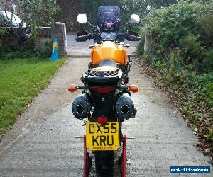 Kawasaki KLV1000/V Strom 