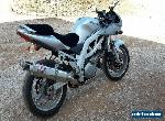 SUZUKI SV 1000 for Sale