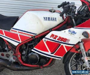 Yamaha RZ250 1984